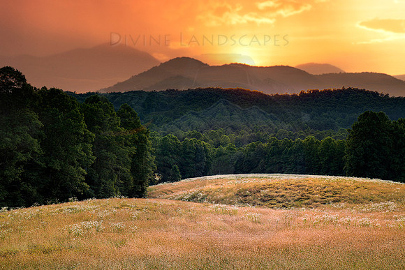 GOLDEN HILLS
