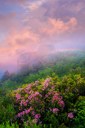 OVER THE RAINBOW