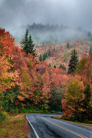 AUTUMN MIST