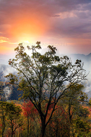 BURNING BRIGHTLY
