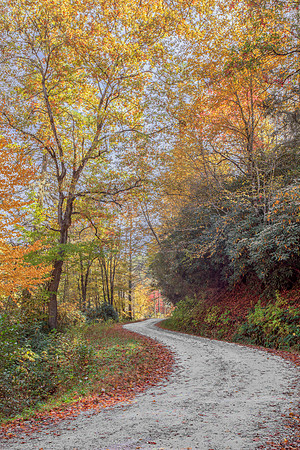 COUNTRY ROAD