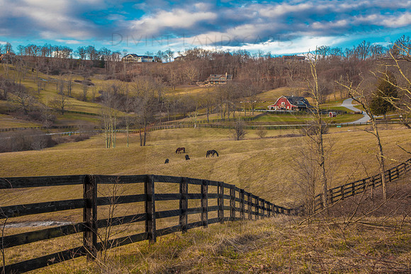 COUNTRYSIDE