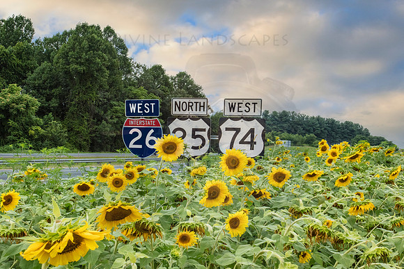 INTERSTATE SUNSHINE