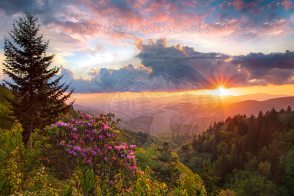 SUNBURST ON FIRE