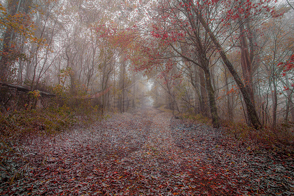 SOLITUDE