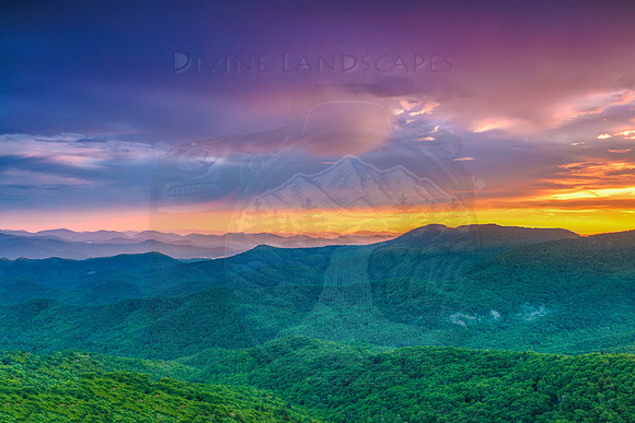 COLOR ON THE HORIZON