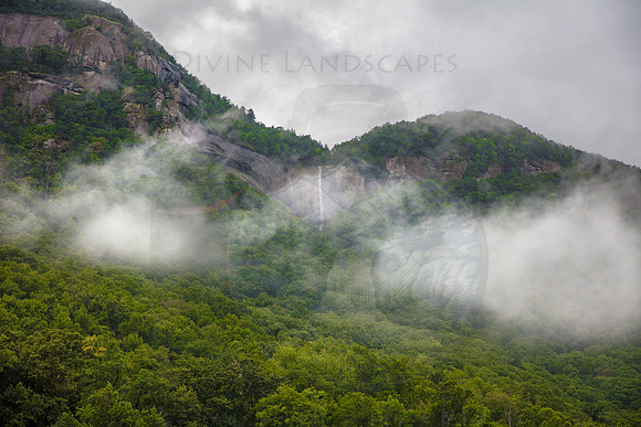 MOUNTAIN MIST