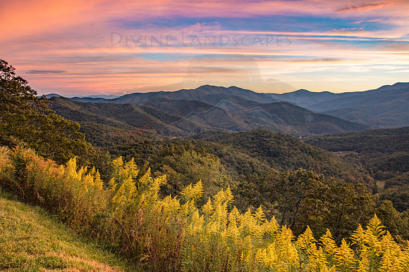 GOLDEN SUNSET