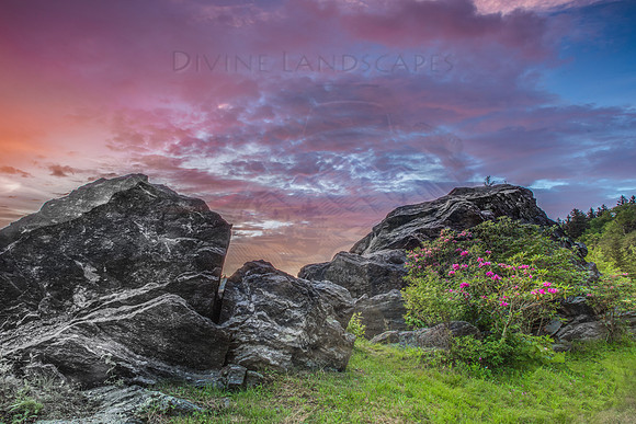 ROCKS AND RHODIES