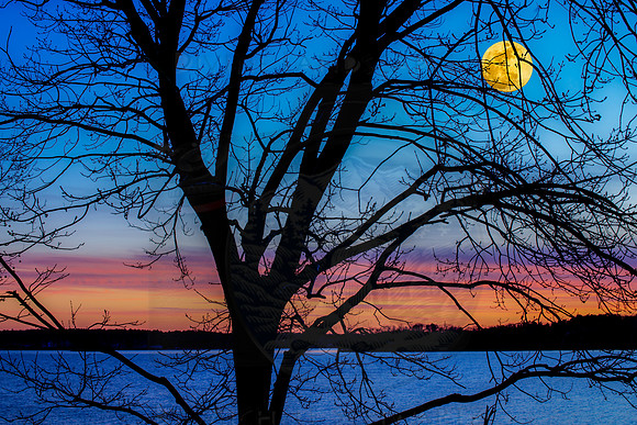 MAGIC MOON