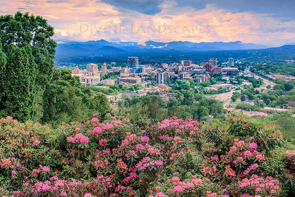 SPRING OVER ASHEVILLE