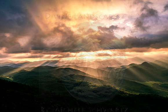 NATURES WONDER
