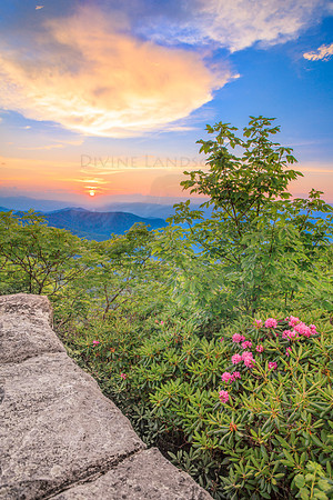 PEACEFUL HORIZONS