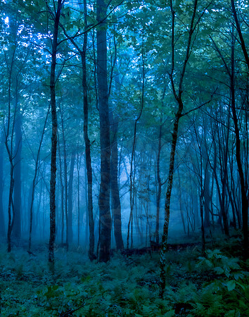 HEINATOOGA RD