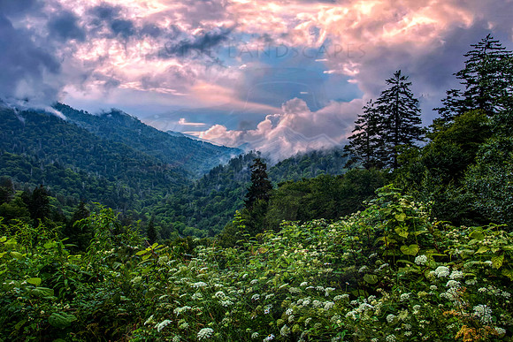 MORTONS OVERLOOK (H)