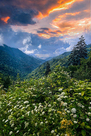 MORTONS OVERLOOK