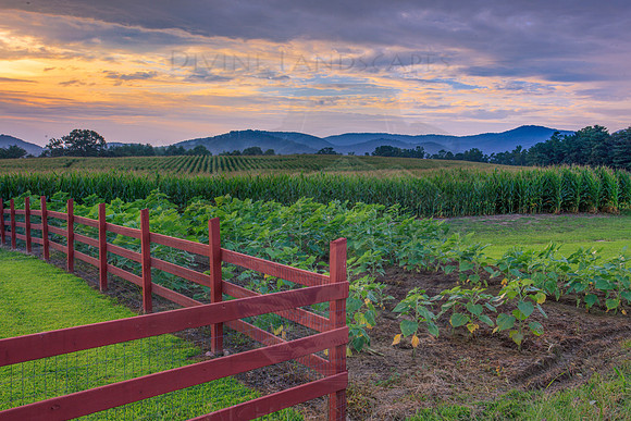 COUNTRY HARVEST