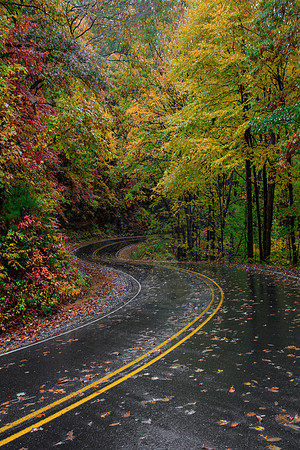 FALL INTO THE CURVE