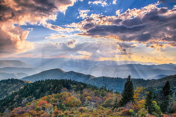 RAYS OVER COWEE