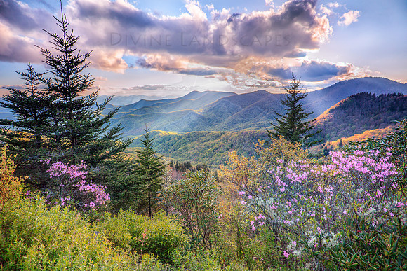 The Magic Of Spring