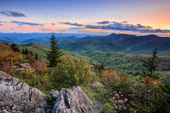 MOUNTAIN BLISS