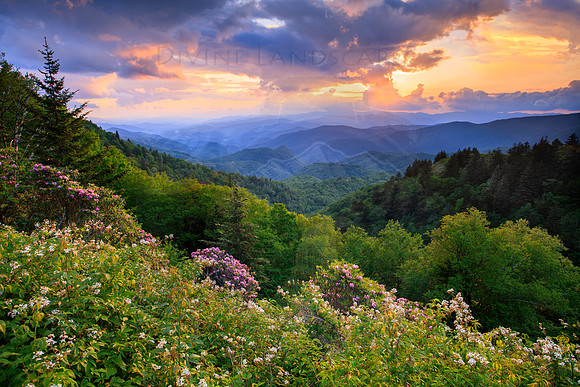 WOOLYBACK OVERLOOK