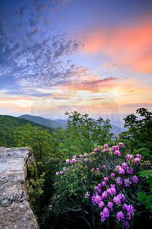HEAVENLY VIEW