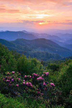 SPRING TIME COLORS