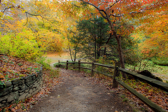 WALK WITH ME