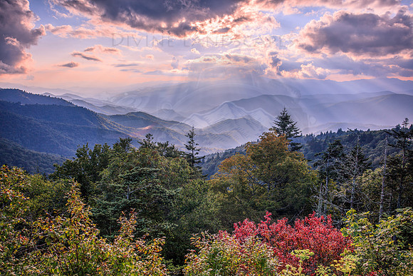 FALL IS ON THE WAY