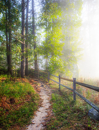 MORNING ON THE TRAIL