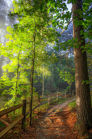 MORNING LIGHT @DUPONT