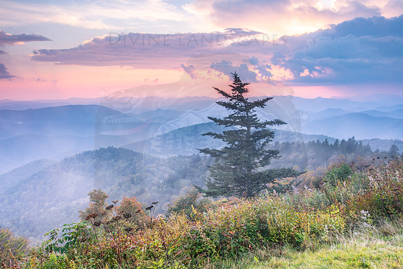 PASTEL FOG