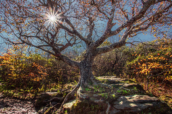 AUTUMN COLORS OF CRAGGY