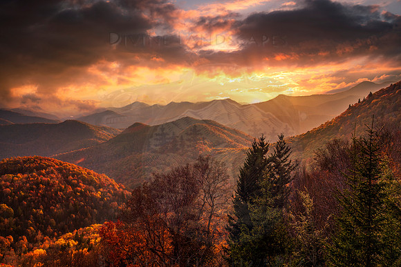 AUTUMN HUES