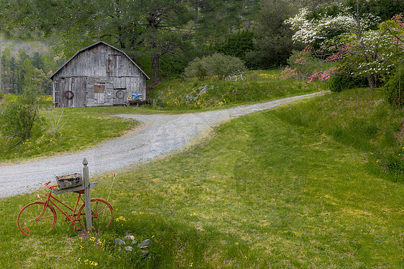 Spinning Through Spring