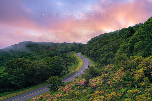 Lonely Road Of Faith