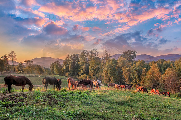 SUNSET BUFFET