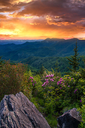 WHEN RHODIES IGNITE
