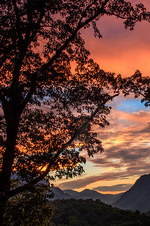 BLUSHING SKIES