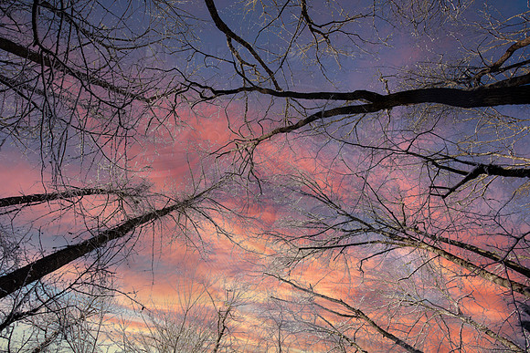 THE SKY IS THE LIMIT